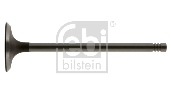 Intake Valve